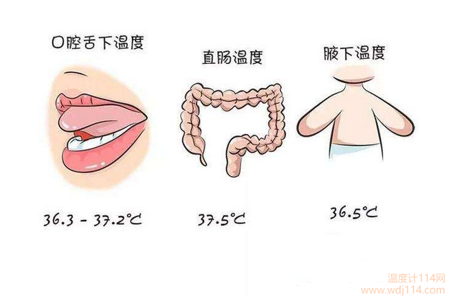 紅外線(xiàn)溫度計測哪較準？