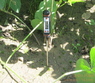 用于土壤溫度檢測的溫度計(jì)